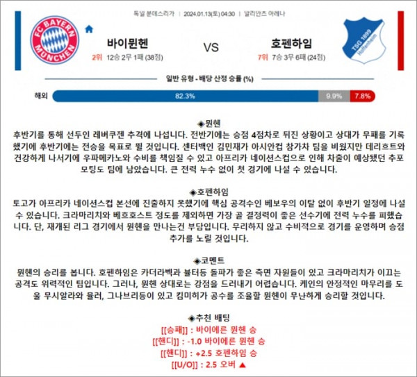1월 13일 분데스리 바이뮌헨 호펜하임