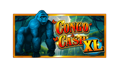 Congo Cash XL
