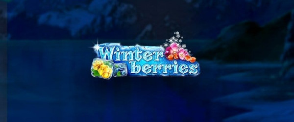 tsThumbnail-Winterberries.jpg