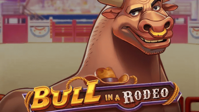 Bull in a Rodeo