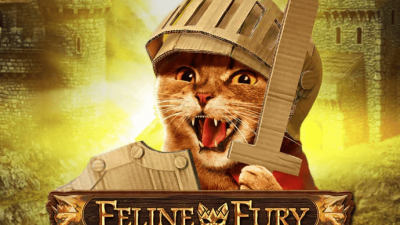Feline Fury
