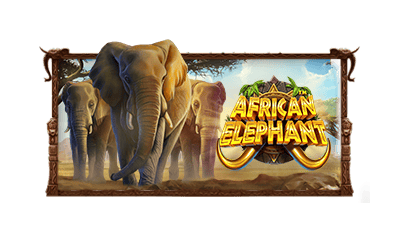 African Elephant™