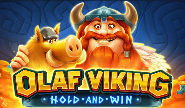 tsolaf_viking_banner_lrhga.jpg