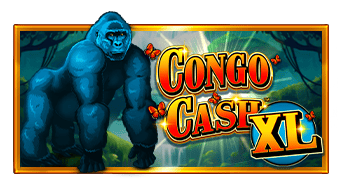 tsCongo-Cash-XL_339x180-1.png