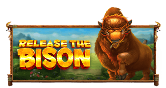 tsRelease-the-Bison_339x180.png