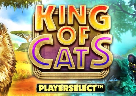 tsking-of-cats-megaways-slot-logo.jpg